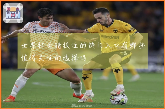 世界杯竞猜投注的热门入口有哪些值得关注的选择吗