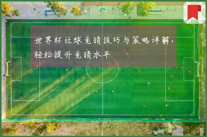 世界杯让球竞猜技巧与策略详解，轻松提升竞猜水平