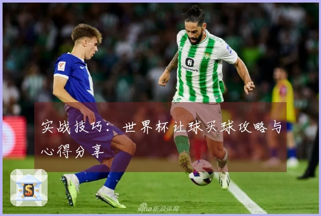 实战技巧：世界杯让球买球攻略与心得分享