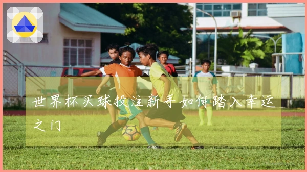 世界杯买球投注新手如何踏入幸运之门