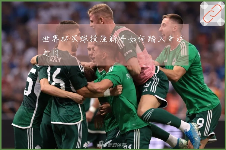 世界杯买球投注新手如何踏入幸运之门
