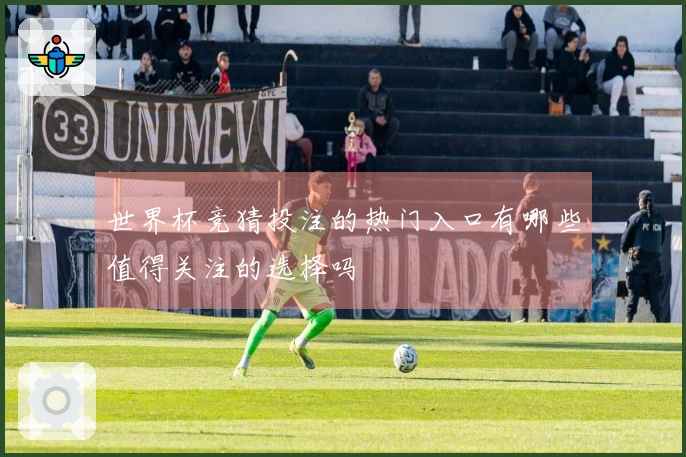 世界杯竞猜投注的热门入口有哪些值得关注的选择吗