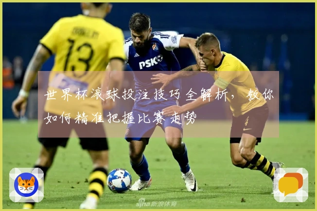 世界杯滚球投注技巧全解析，教你如何精准把握比赛走势