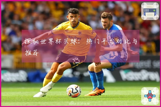 探秘世界杯买球：热门平台对比与推荐
