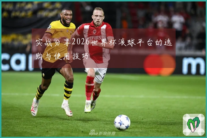 实战分享2026世界杯滚球平台的选购与使用技巧