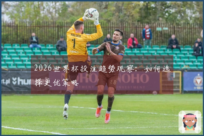 2026世界杯投注趋势观察：如何选择更优策略